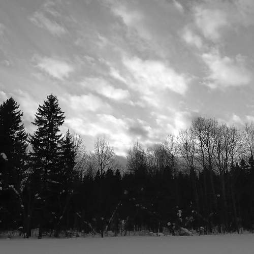 Photo #7622753