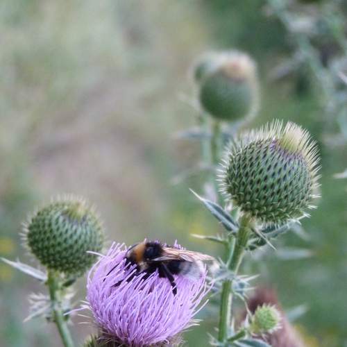 Photo #7622781