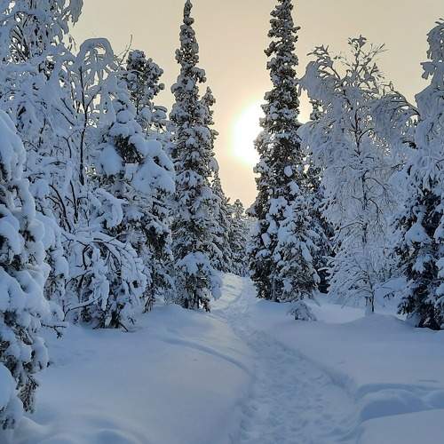 Photo #7622838