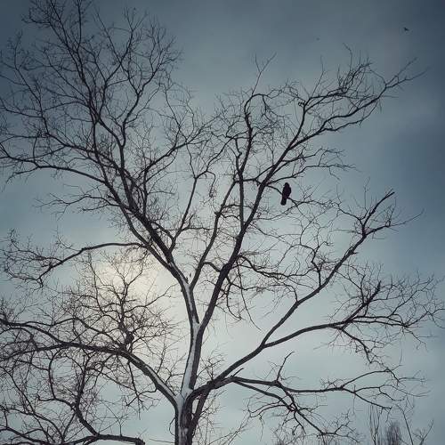 Photo #7622919