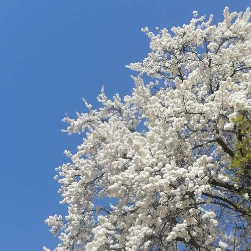Photo #7622924