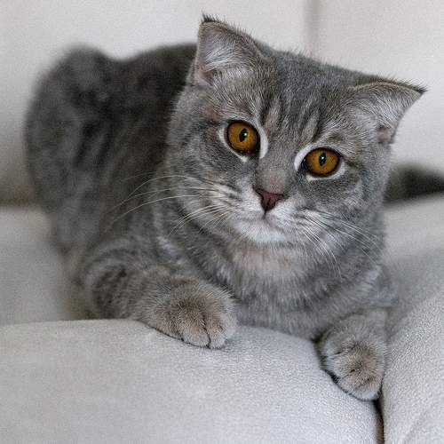 Photo #7623062
