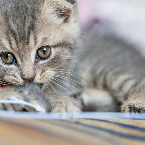 Photo #7623066