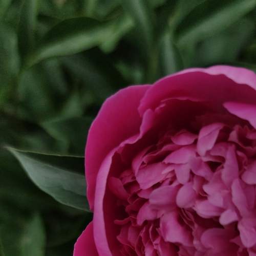 Photo #7623100