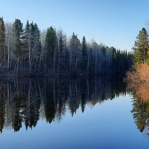 Photo #7623131