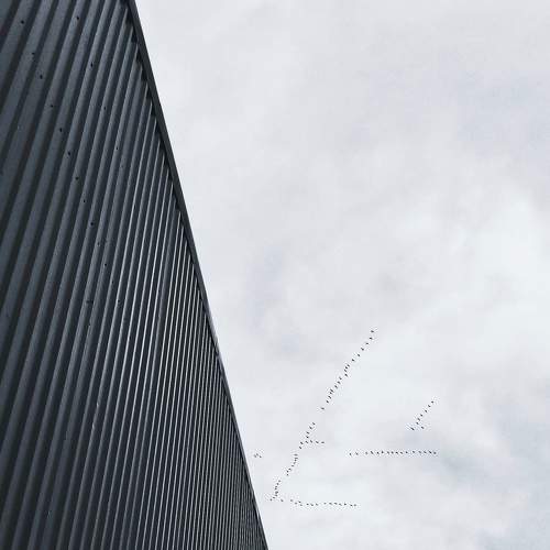 Photo #7623309