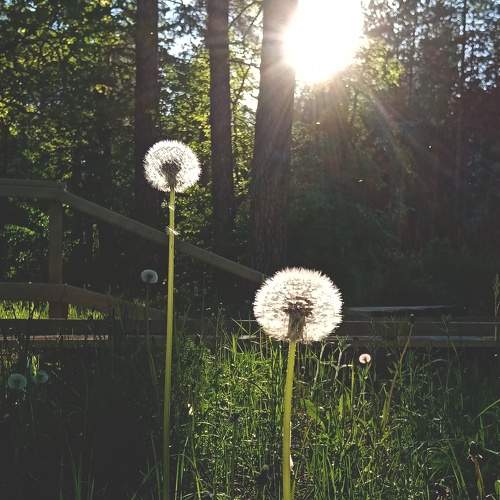 Photo #7623462