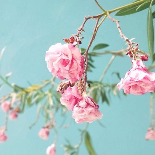 Photo #7623630