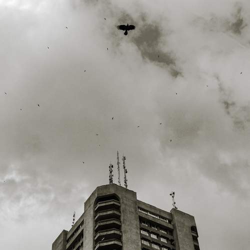 Photo #7623730