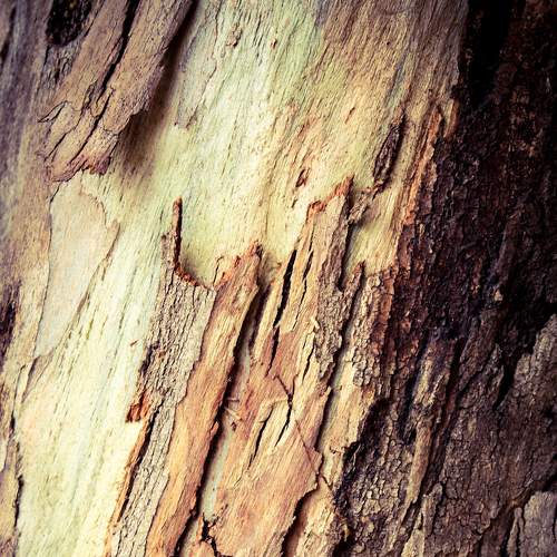 Photo #7623781