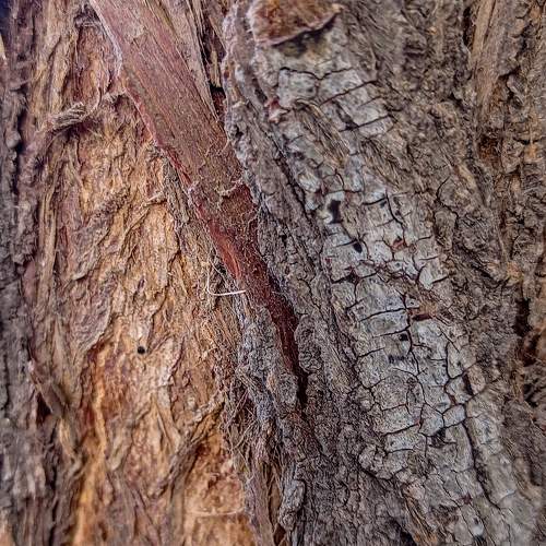 Photo #7623787