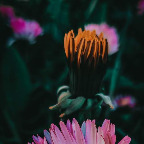 Photo #7623807