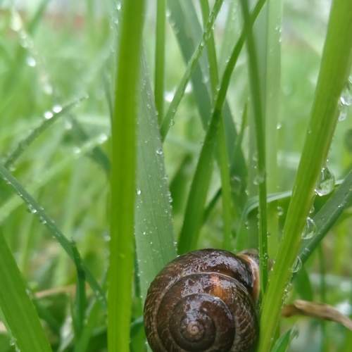 Photo #7623838