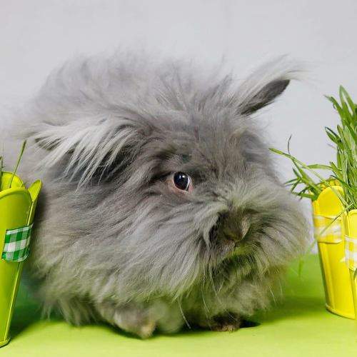 Photo #7623881