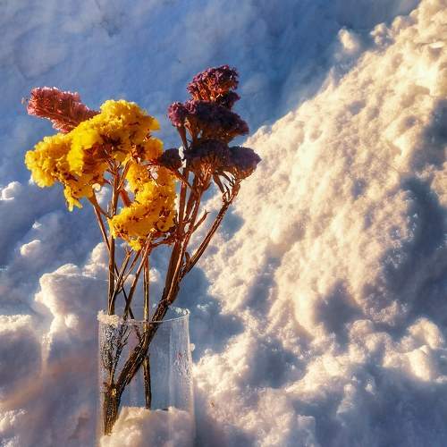 Photo #7624011