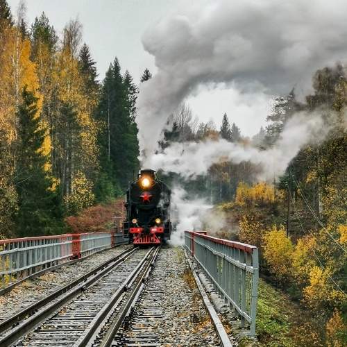 Photo #7624014