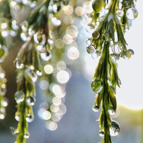 Photo #7624056