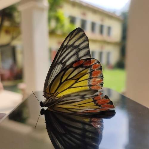 Photo #7624284