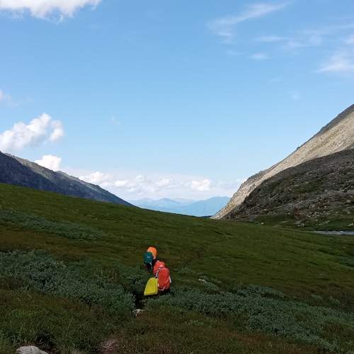Photo #7624580