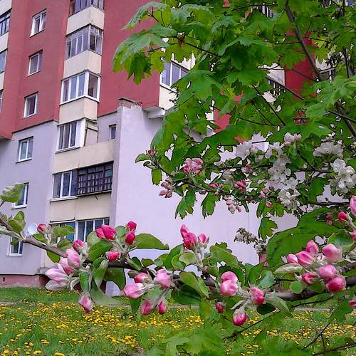 Photo #7624689