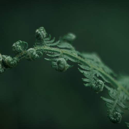 Photo #7624761