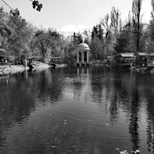 Фотография #7624765