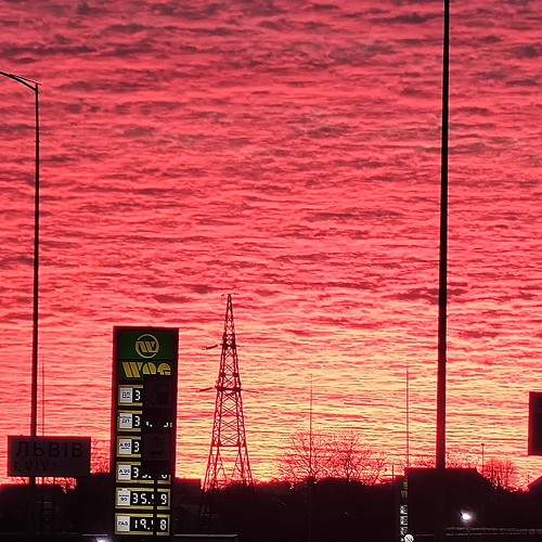 Photo #7624884