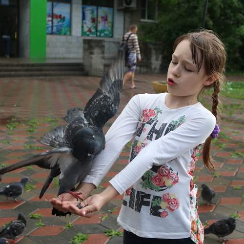 Photo #7625006