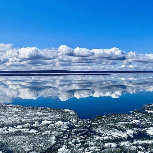 Photo #7625254