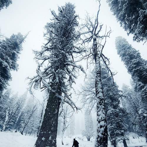Photo #7625285