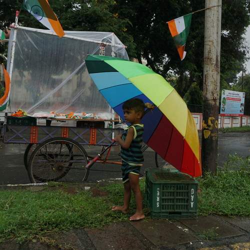 Photo #7625343