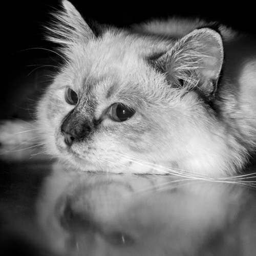 Photo #7625623