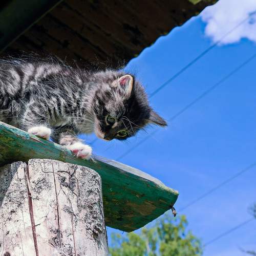 Photo #7625633
