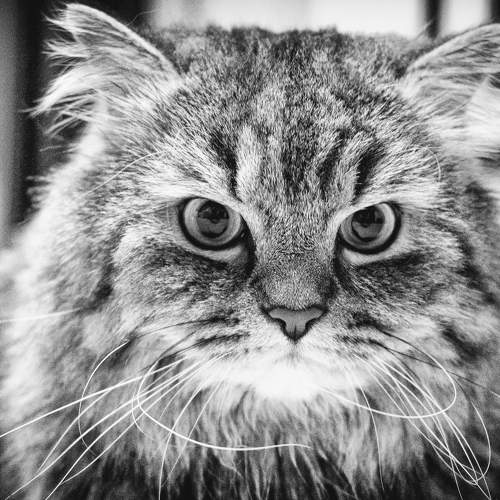 Photo #7625654