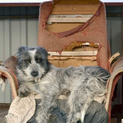 Photo #7625751