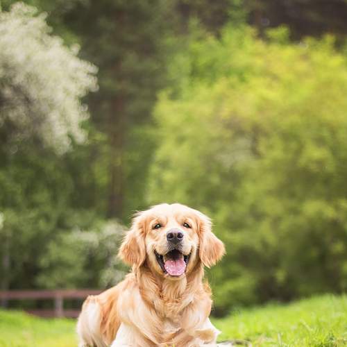 Photo #7625789