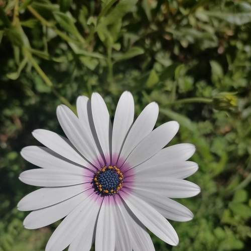 Photo #7625811