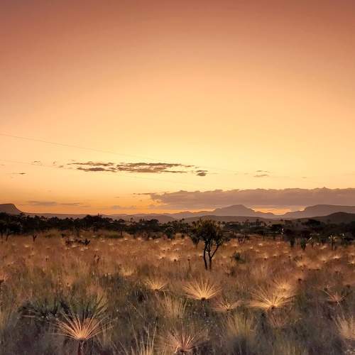 Photo #7626441