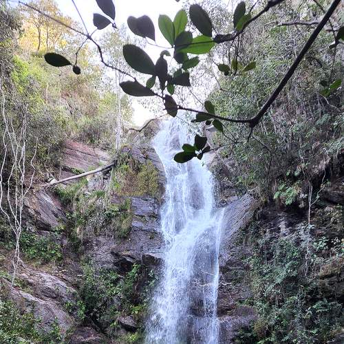 Photo #7626561
