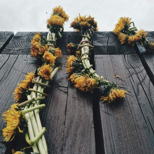 Photo #7626670