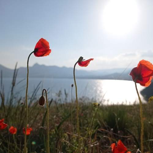 Photo #7626753