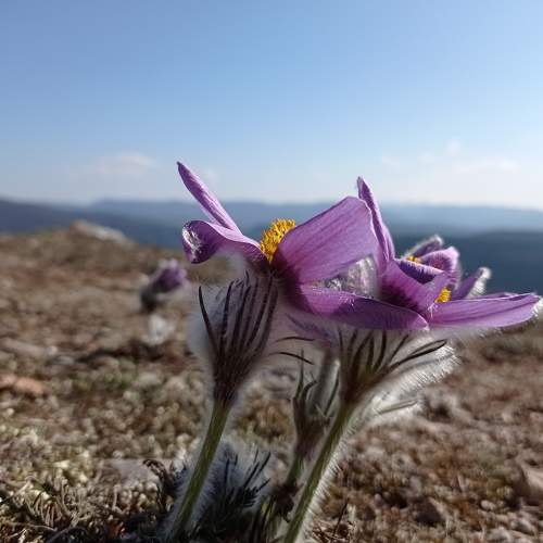 Photo #7626790