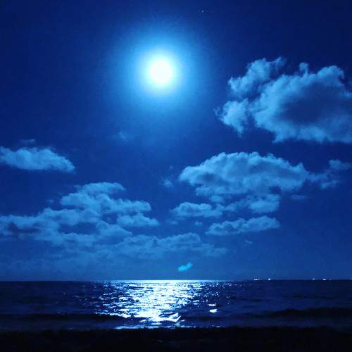 Photo #7626808