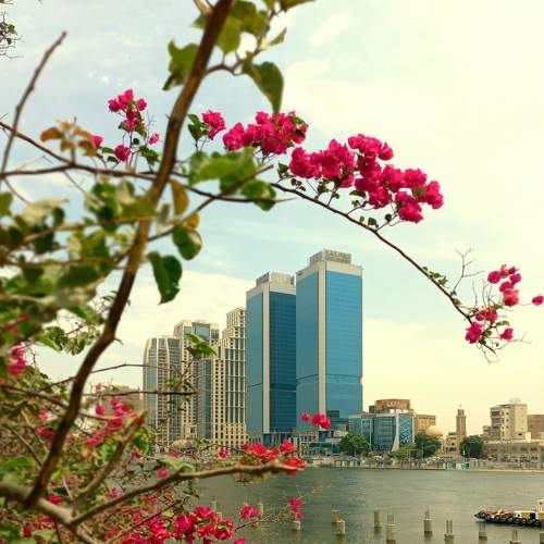 Photo #7626881