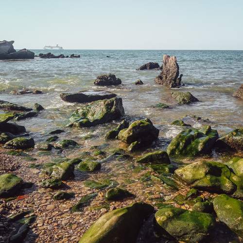 Photo #7627009