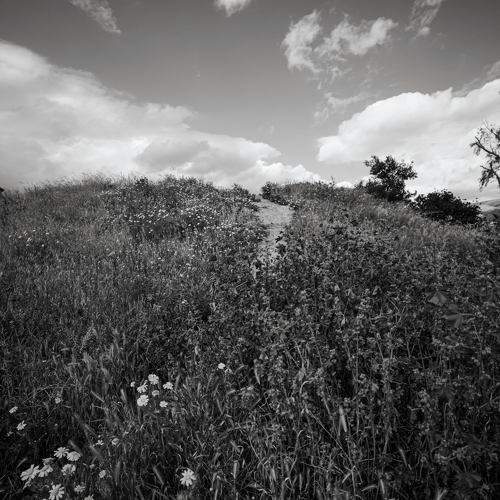 Photo #7627213