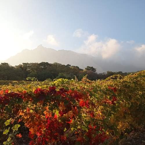 Photo #7627223