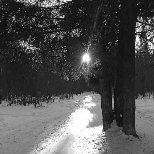 Photo #7627527