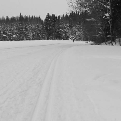 Photo #7627533