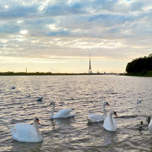 Photo #7627824